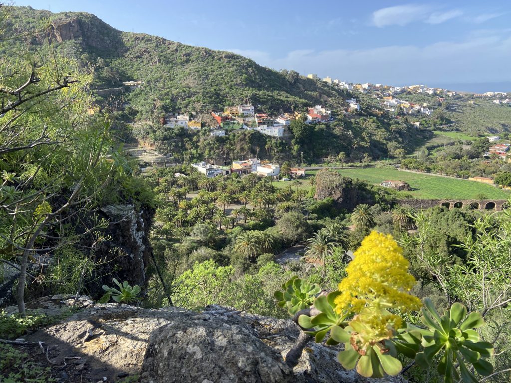 Botanic Garden in Gran Canaria