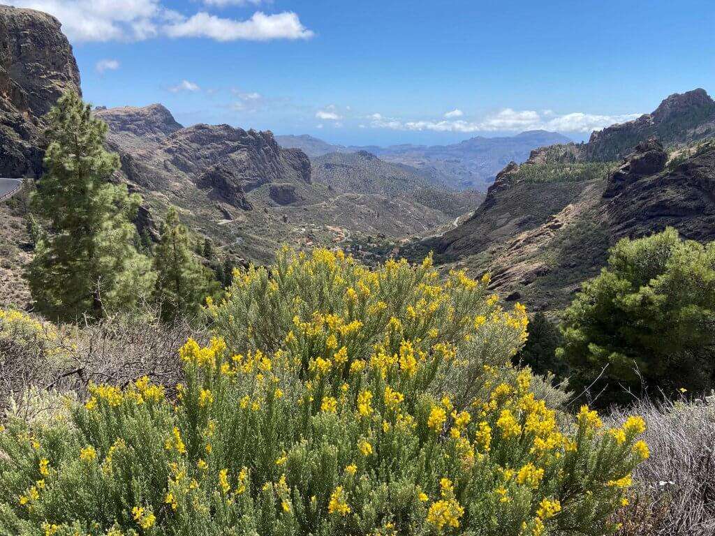 Gran Canaria hiking view