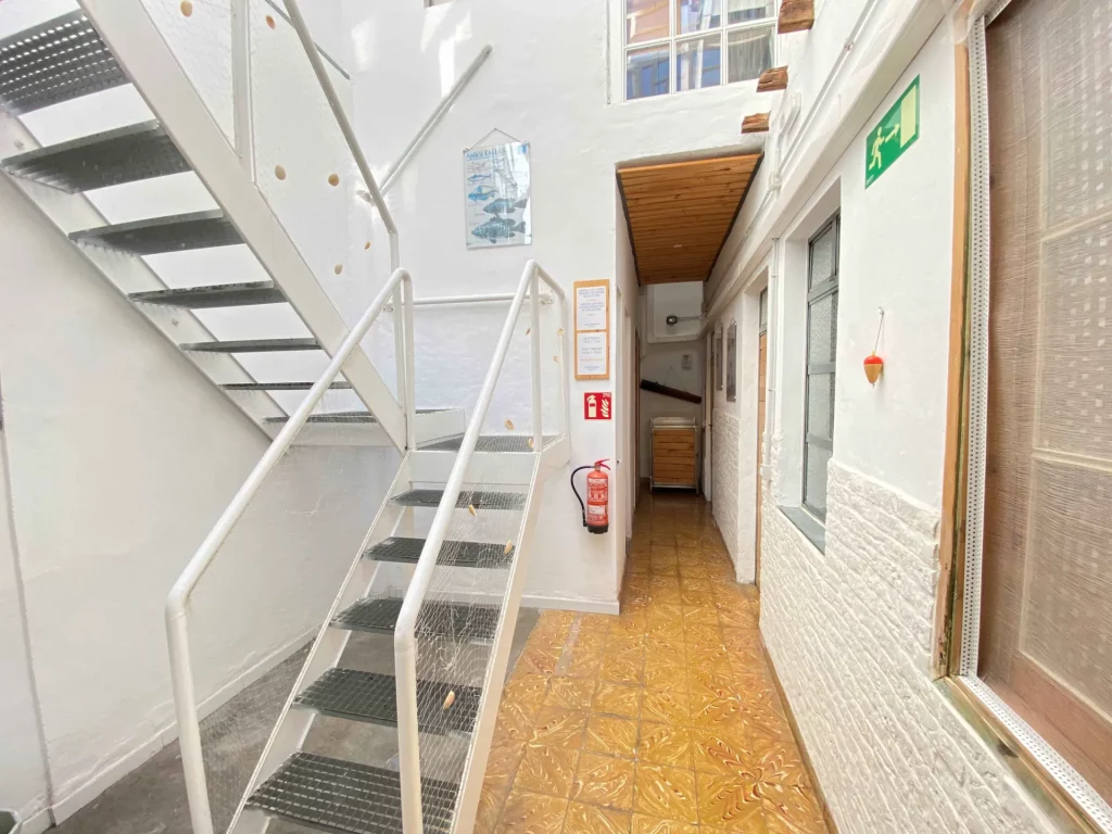 First floor EcoIsleta Coliving in Gran Canaria, view of the stairs to the second floor, also patio and plenty of natural light